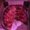 Photo of Jon V.