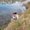 Photo of Ana M.