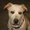 Photo of Senor C.