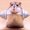 Photo of Qype User (adamru…)