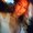 Photo of Banu T.