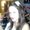 Photo of Ashlyn M.
