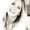 Photo of Cherie H.