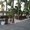 Photo of Lorena M.
