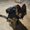Photo of Nala Bear
