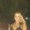 Photo of Yaniris V.
