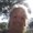 Photo of Susan M.