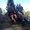 Photo of Layna G.