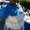 Photo of Larell S.