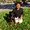 Photo of Deepak S.