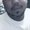 Photo of Dante T.