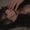 Photo of isabel