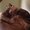 Photo of Debra V.