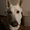 Photo of Teagan B.