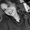 Photo of Kirstin P.