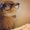 Photo of Jessy A.