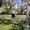 Photo of Mas H.