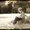 Photo of Alyson R.
