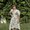 Photo of Kaitlin B.