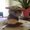 Photo of Parag S.