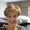 Photo of Julie P.