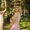 Photo of Nataliia P.