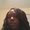 Photo of Tameka B.