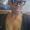 Photo of Lynnise S.