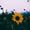 Photo of Audrey M.