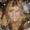 Photo of Karen L.