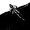 Photo of Mike G.