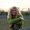 Photo of Sally O.