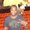 Photo of Marcus A.