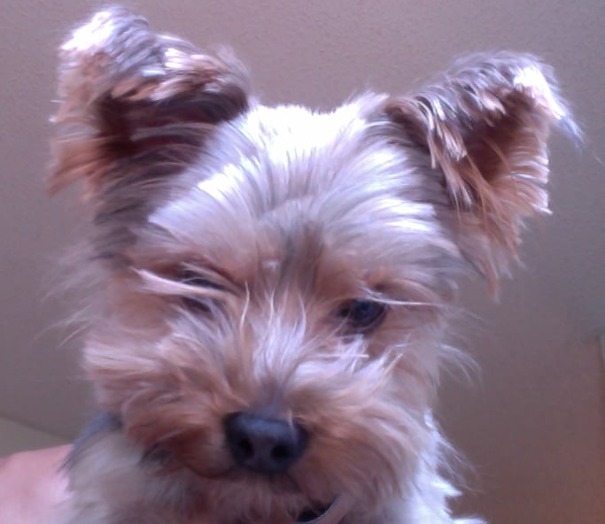 Bobby K.'s profile image