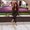 Photo of Cesia S.