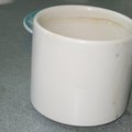 coffee t. Avatar