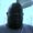 Photo of Angelo C.