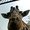 Photo of Qype User (dimens…)