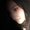 Photo of Allie H.