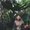 Photo of Hanna K.