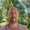 Photo of Shawn C.