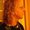 Photo of Jami D.