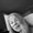 Photo of Kinsley B.