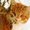 Photo of Qype User (lplh…)