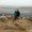 Photo of Kristy S.