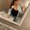 Photo of Alyssa A.