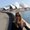 Photo of Anahita Y.