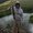 Photo of Kaleb N.