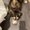 Photo of Anonymous A.