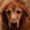 Photo of Terrie S.